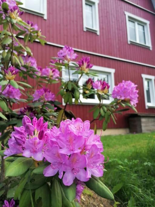 Haus Gruenfels Apartment 穆劳 外观 照片