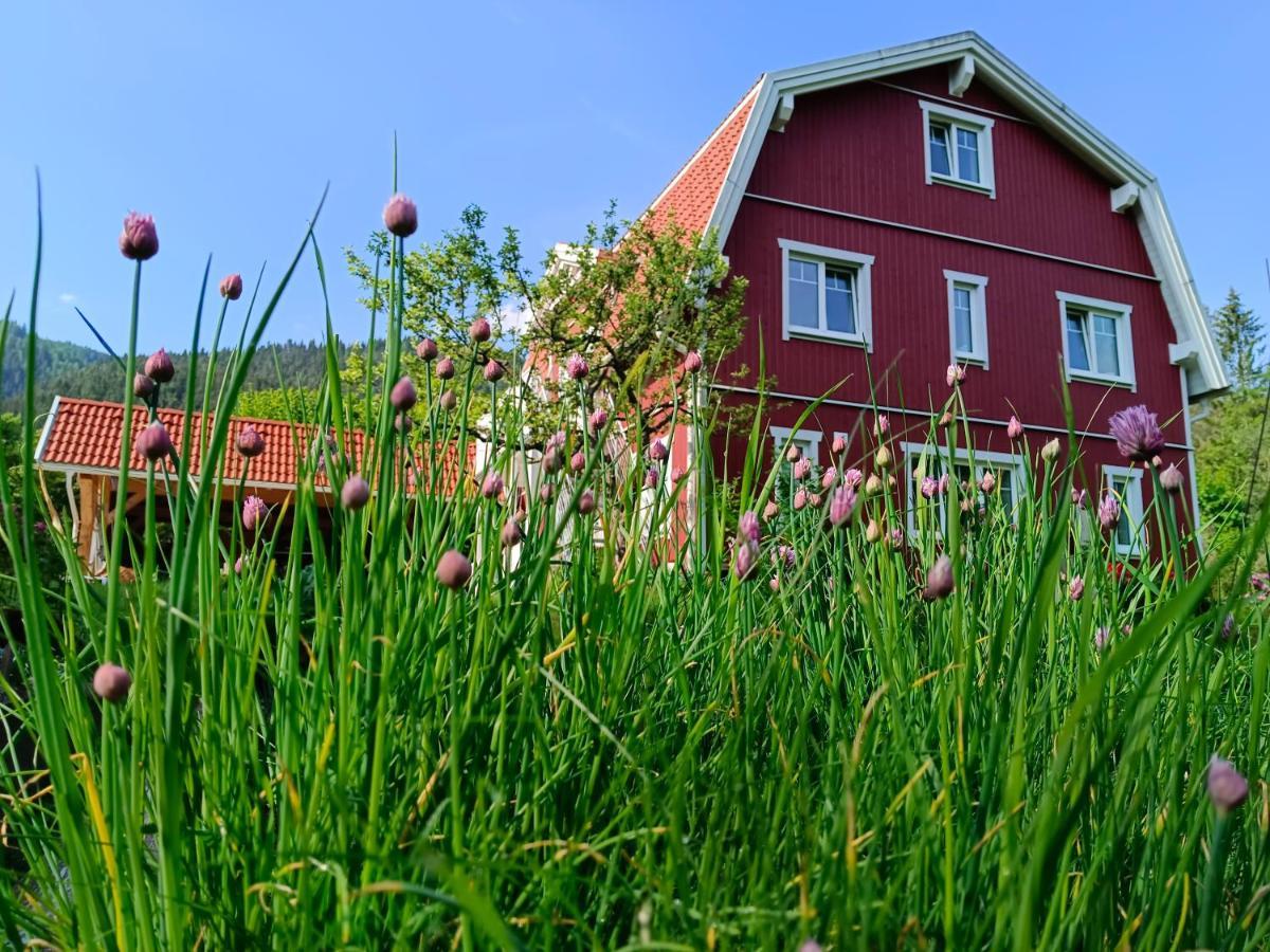Haus Gruenfels Apartment 穆劳 外观 照片
