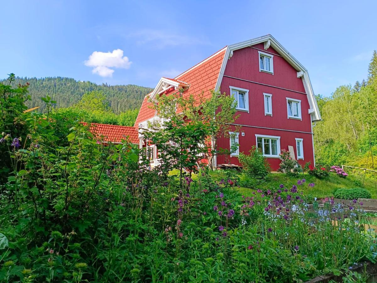 Haus Gruenfels Apartment 穆劳 外观 照片